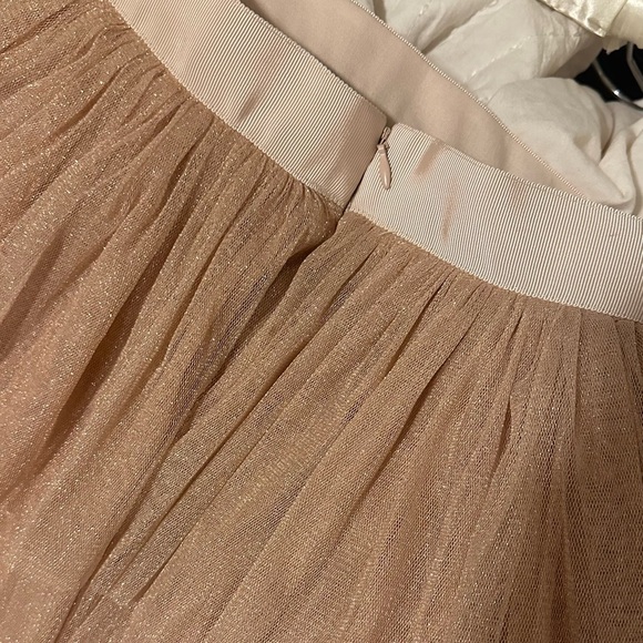 Pink and Gold Tulle Shimmer Skirt - Picture 3 of 9